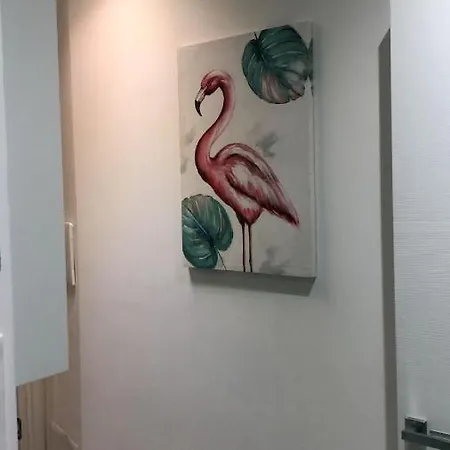 Il Turchese 公寓 卡利亚里